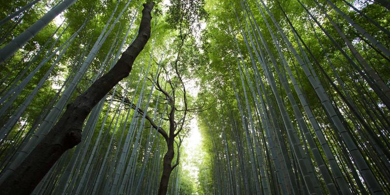平台全面对比分析